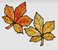 Bruggeman - autumn leaves suncatcher.jpg