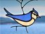 Bruggeman - bluebird.jpg