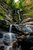 Toms Creek Falls.jpeg