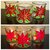 Hines - Poinsettia candle holders.JPG