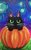 Hines - pumpkin kitty painting.JPG