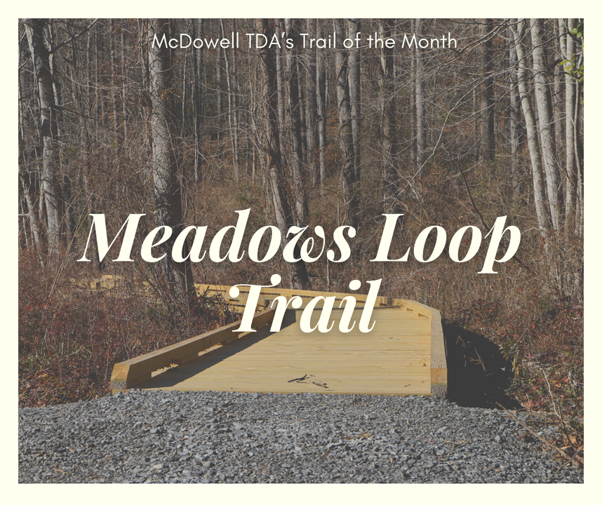 Meadows Loop Trail of the Month