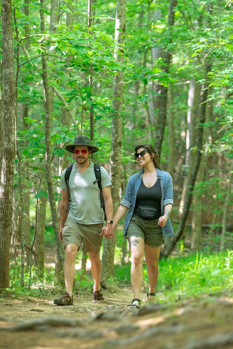 Hikers in the Woods of the Blue Ridge Mountains