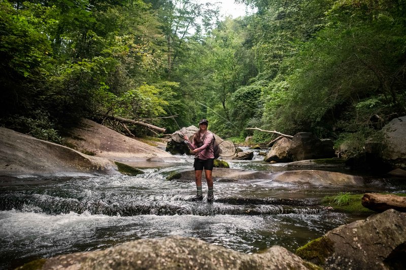 Fly fishing in McDowell County, NC