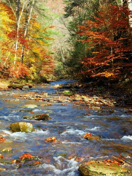 creek-in-fall.jpg