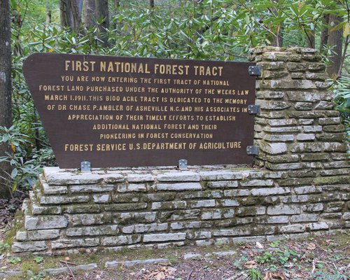 Curtis Creek National Forest Sign